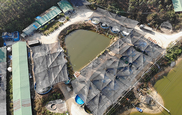 广东省惠州市海森农业研究发展有限公司养殖基地项目